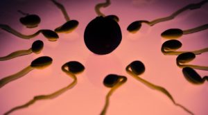 「中田氏」ってどんな意味？本番セックスとの違いは？