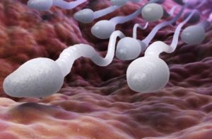 生外でも妊娠する?生外の意味と注意点を解説