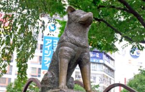 渋谷で出会い系の待ち合わせならハチ公前!メリットやデメリットも紹介!