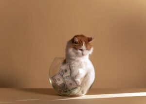 キャッシュバッカー(CB)について